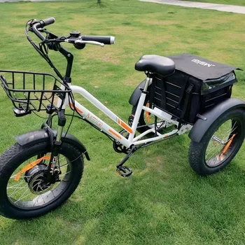 Vrući najprodavaniji u SAD-u električni bicikl three wheeler electro mountain trike 20-inčni 7-brzinski tricikl za prodaju