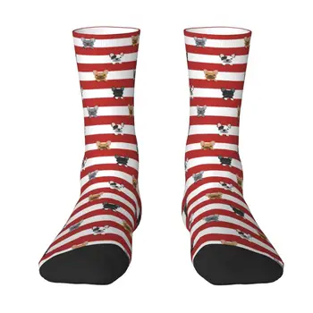 Čarape u Crvenu Traku sa Smiješnim po cijeloj površini Francuski Buldog za Žene I Muškarce, Elastične Čarape na Ljeto, Jesen-Zimu, Щенячьи Čarape Za Životinje