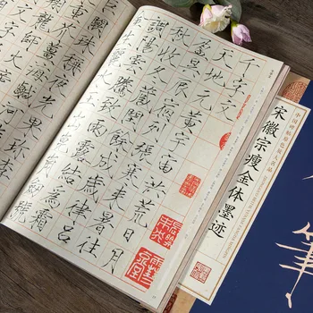 Zbirka ormarića pod uvjetom bilježnice za kaligrafije tvrdim olovkom, kineski tanke zlatne knjige, udžbenik važna kaligrafije, slikovnice za praksu rada kistom.